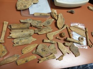 bone tools