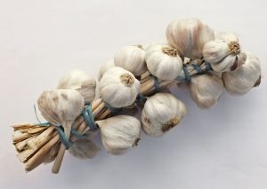 garlic 1