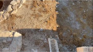 WhatsApp Image 2020 08 28 at 4.36.45 PM 1 e1598792369238