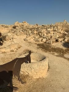 WhatsApp Image 2020 08 28 at 4.36.46 PM 1