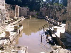 hamat gader pool