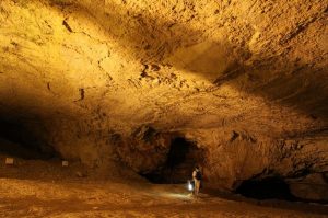zed cave main room