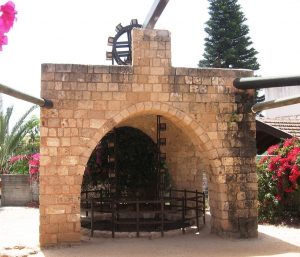 maz batya antalya