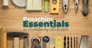 pesachim essentials by gitta