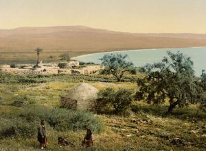 al magdal 1900