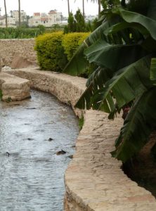 jericho elisha spring ein es sultan