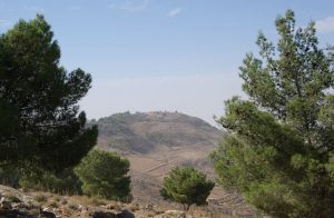 mount nebo