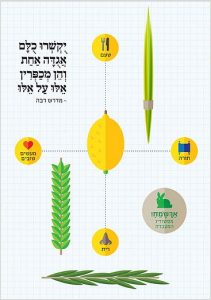 Naama Henkin hyd sukkah poster