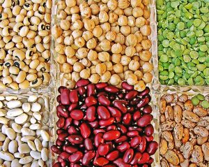 legumes