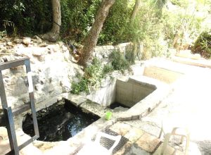 motza spring