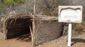 neot k small sukkah 1