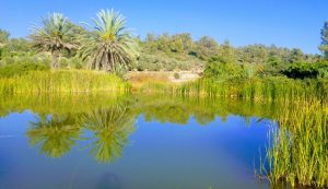 neot kedumim lake