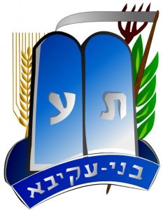 bnai akiva