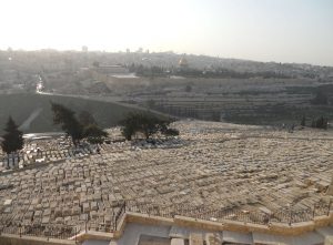 har hazeitim Zion Halevi