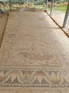 maon mosaic