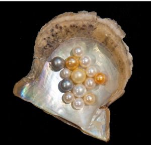 pearls