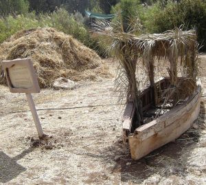 ship sukkah