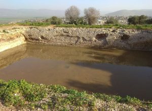 zippori spring maybe aliza avshalom