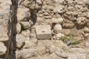 toilet city of david