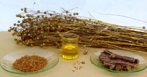 flax stalks and products