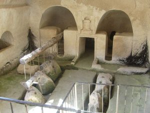 olive oil maresha press
