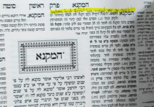 rashi David