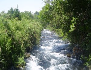 nahal dan