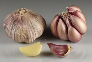 ben azzai garlic