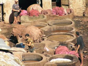 job tanners morocco