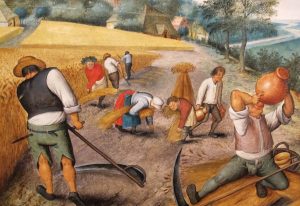 jobs harvest