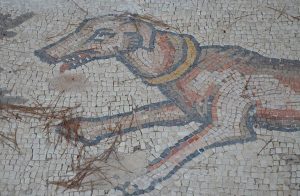 dog caesarea