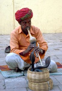 snake charmer