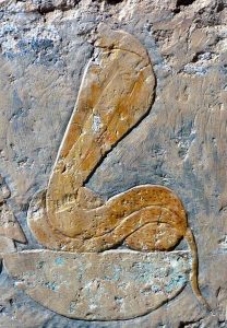 snakes wadjet
