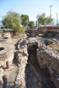 hizkiyya tverya
