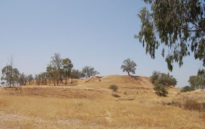 avimelech tel haror