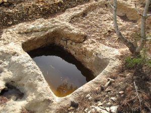 chicken winepress ein karem