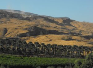 valley dates gesher