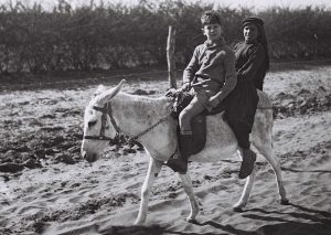 donkey riding