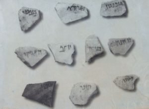 kalpi ostraca