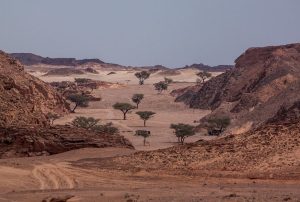 davar desert