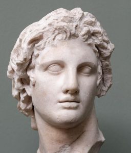 alex bust