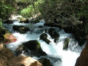 banias water