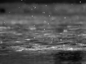 reza shayestehpour Nw D8v79PM4 unsplash