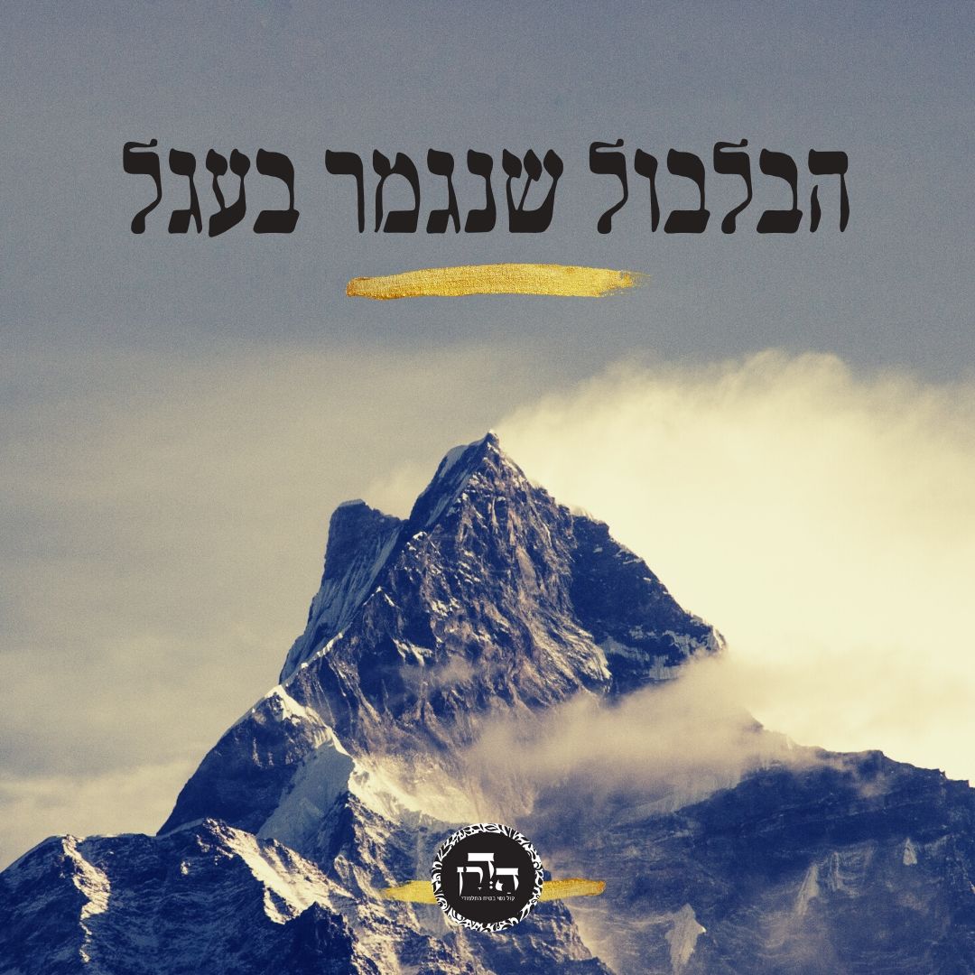 הבלבול שנגמר בעגל – גפ”ת 14