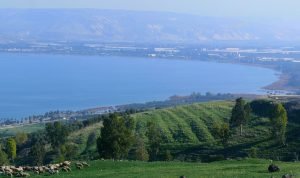 yosi kinneret