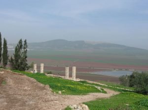 navot view